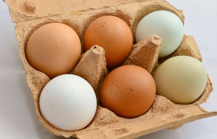 egg myths colorful eggs