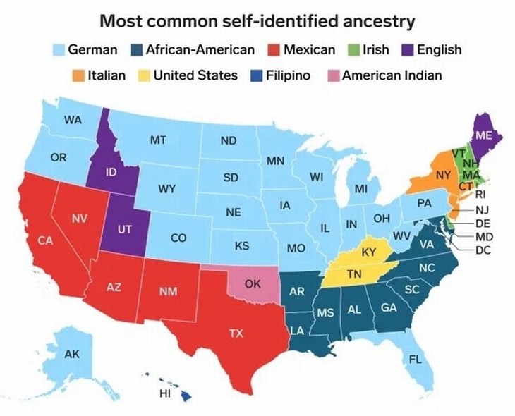 U.S. statistics maps ancestry