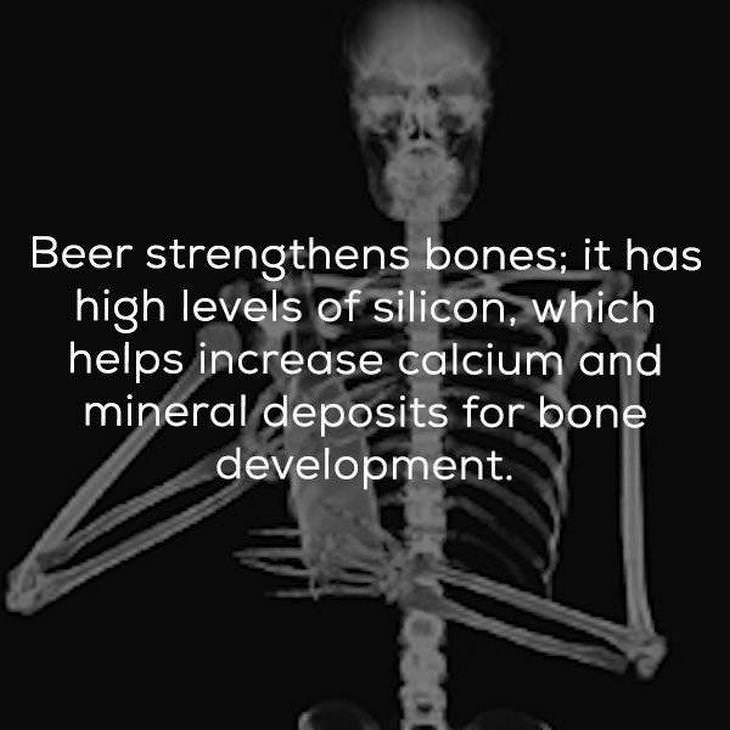 facts about beer