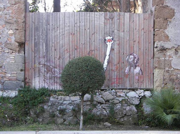 Plants and Street Art: ostrich