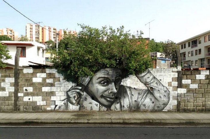 Plants and Street Art: afro