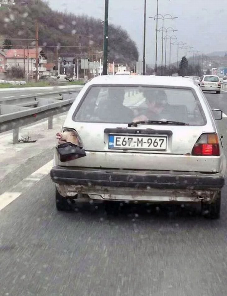 meanwhile, in Bosnia