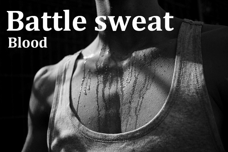 Kennings: battle sweat