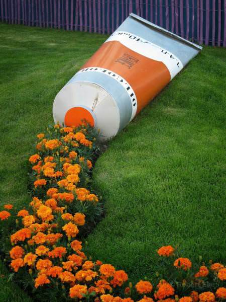 Plants and Street Art: orange flowers oil color