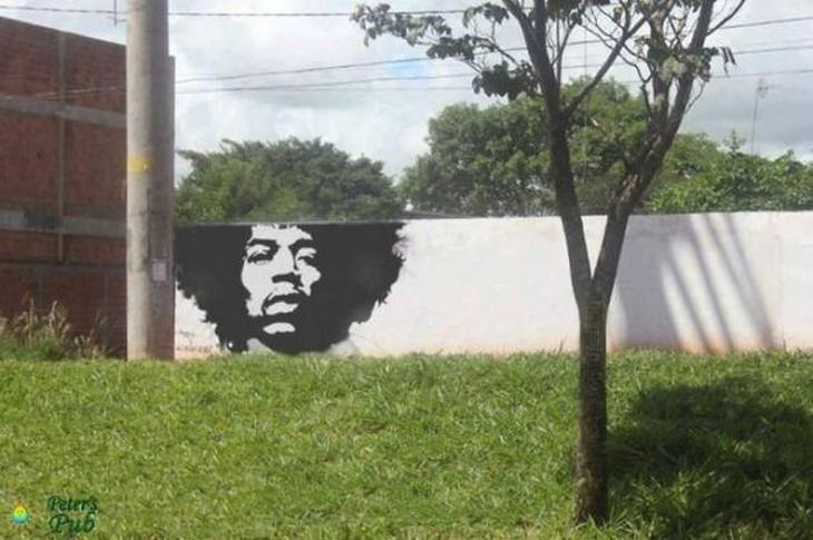 Plants and Street Art: Jimi Hendrix