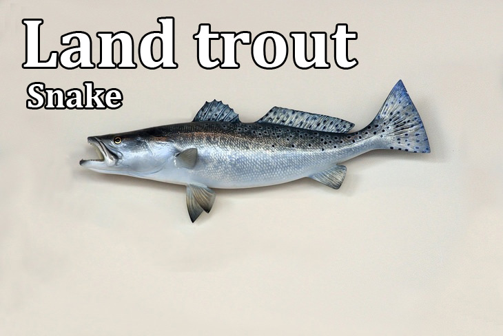 Kennings: land trout