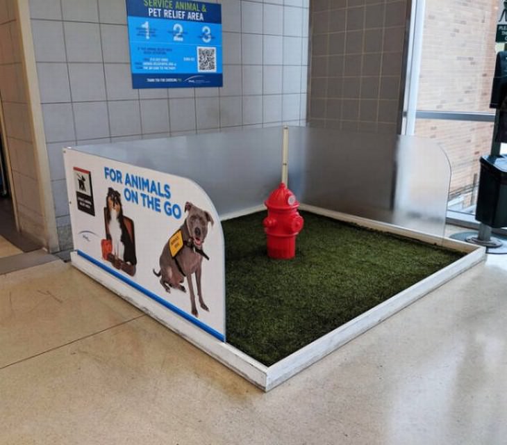 clever gadgets and inventions found in store fire hydrant pet relief area