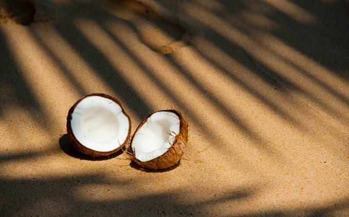 coconut