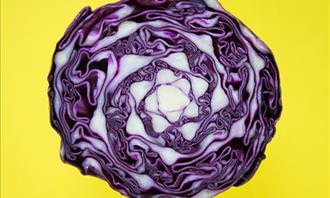 cabbage