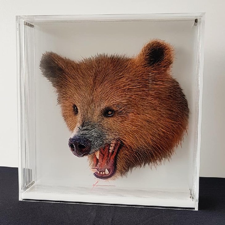 Yosman Botero Gómez 3D animal paintings angry bear