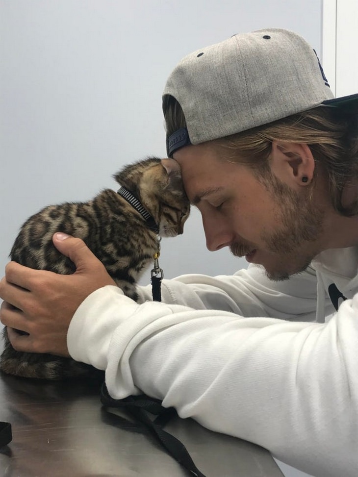 Heartwarming Cats: kitten vet