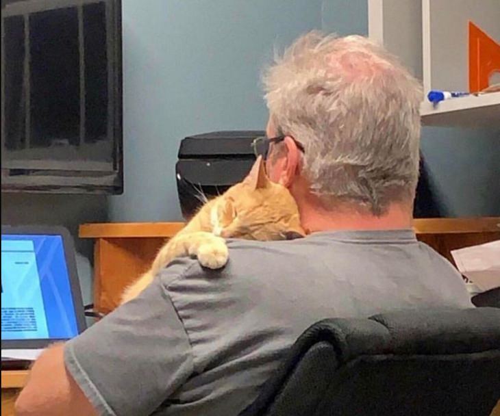 Heartwarming Cats: dad