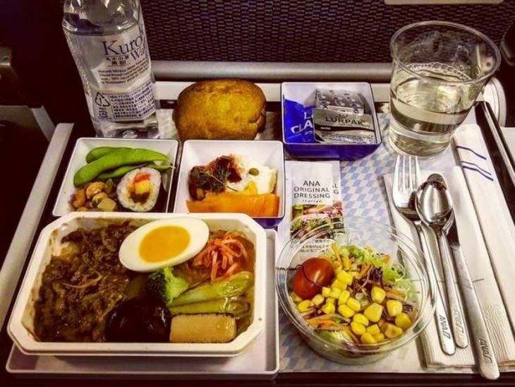 Airplane food: ana