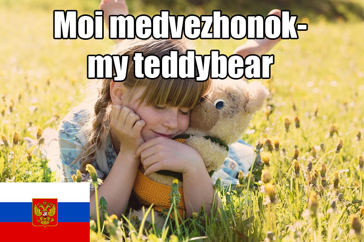Terms of endearment: Russian teddy