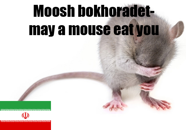 Terms of endearment: Farsi mouse
