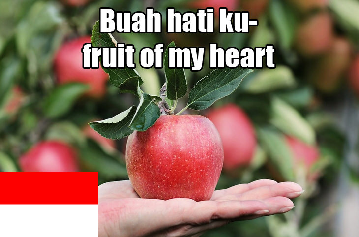 Terms of endearment: Indonesian fruit