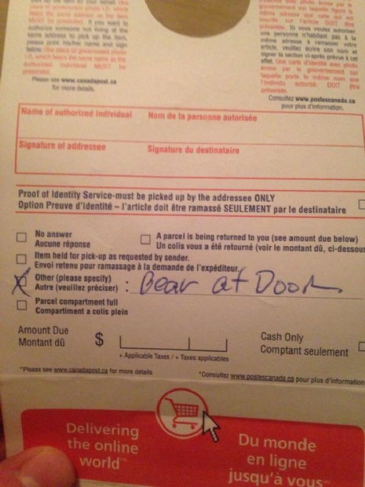 typical canada funny photo collection parcel not delivered because of bear