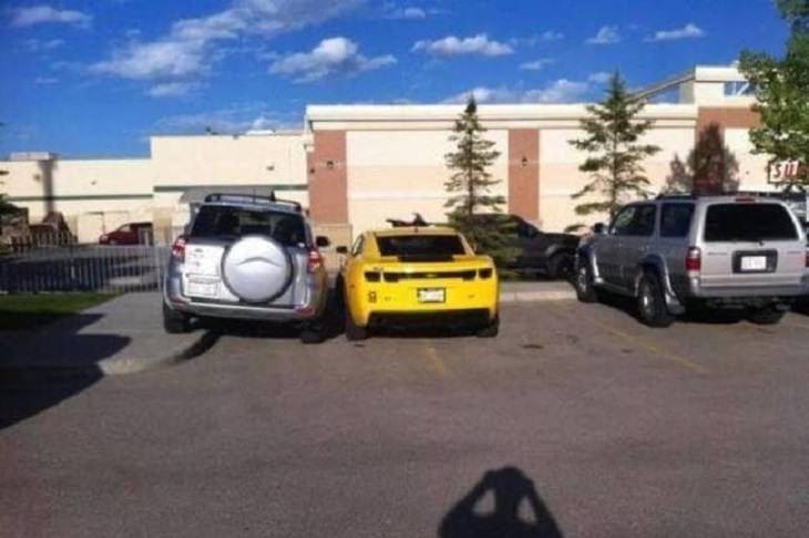 Parking fails: selfish