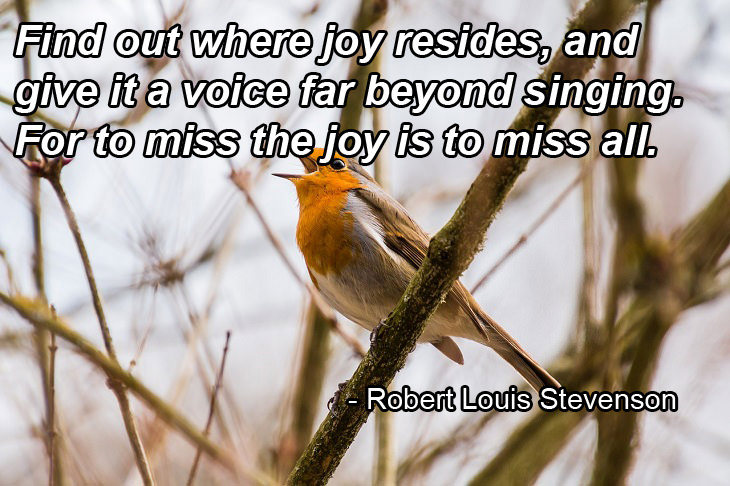 Happiness: Robert Louis Stevenson