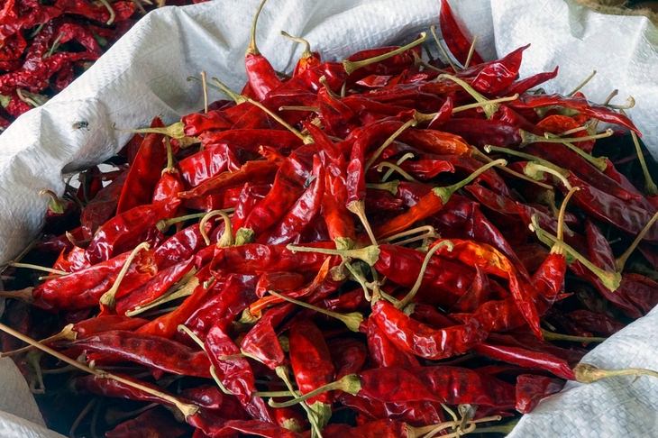 Leaf miner solutions: hot peppers