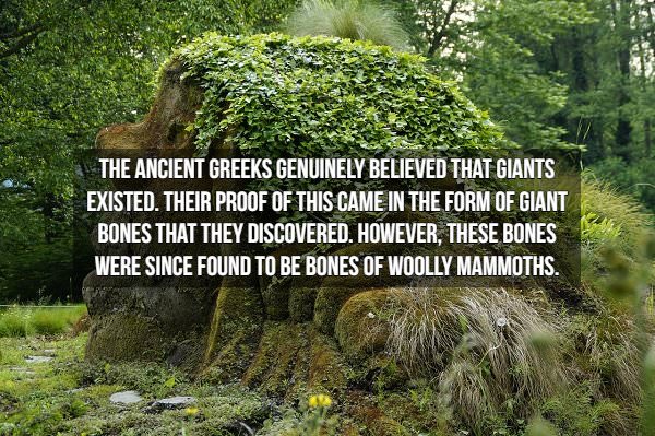 historical fact: giant bones