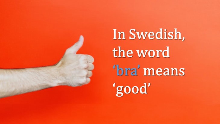 false friends of the interpreter English and Swedish