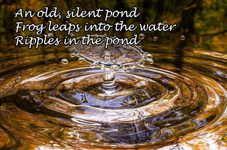 Haikus: ripple in pond