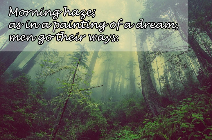 Haikus: forest fog