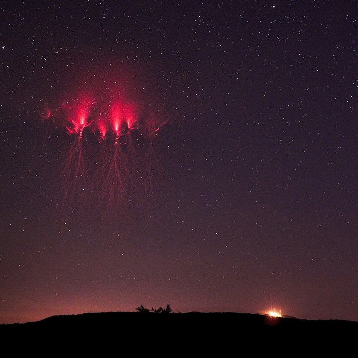 cool and weird nature photo collection Red jellyfish lightning sprite