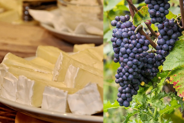 Cheese and wine pairings: brie and pinot noir