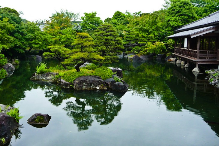 Beautiful gardens: Kōraku-en tree