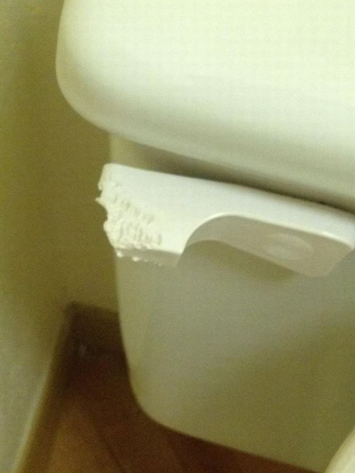 terrible hotel rooms chewed on toilet handle