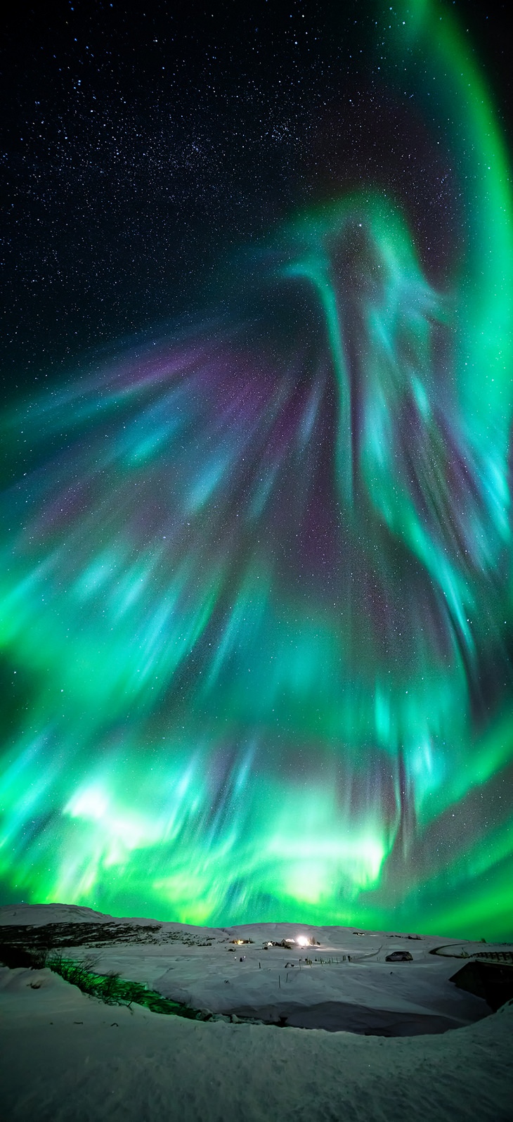 Astronomy pictures: phoenix aurora