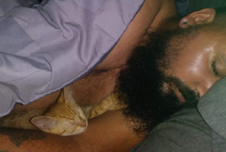 Adorable kitten pictures: sleeping with dad