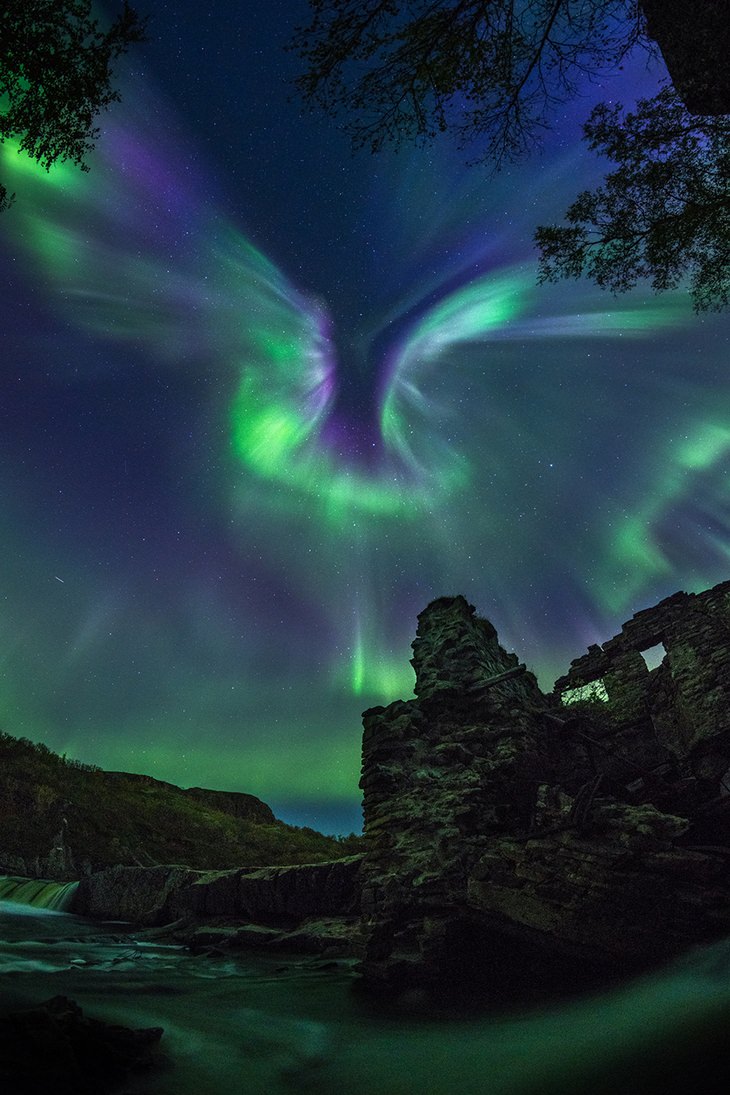 Astronomy pictures: aurora dove