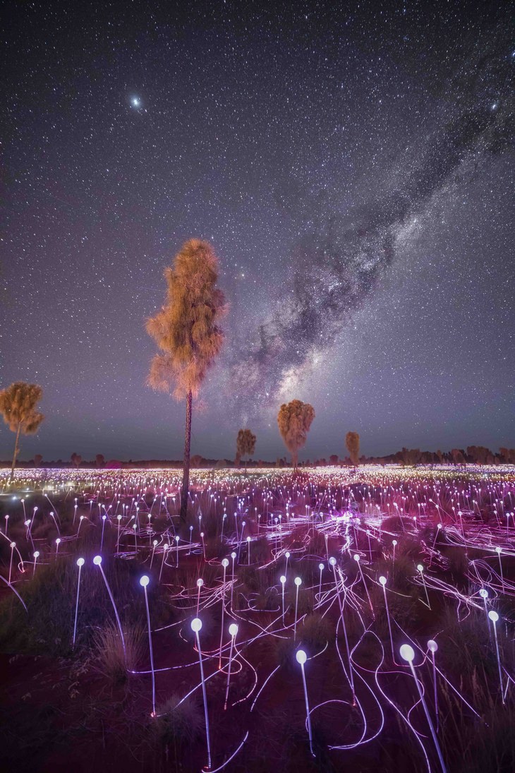 Astronomy pictures: milky way over trees and lights