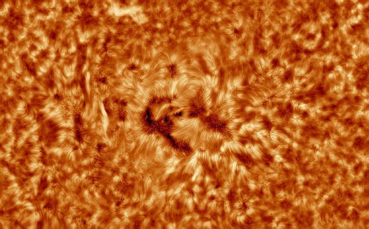 Astronomy pictures: sun fuzzy