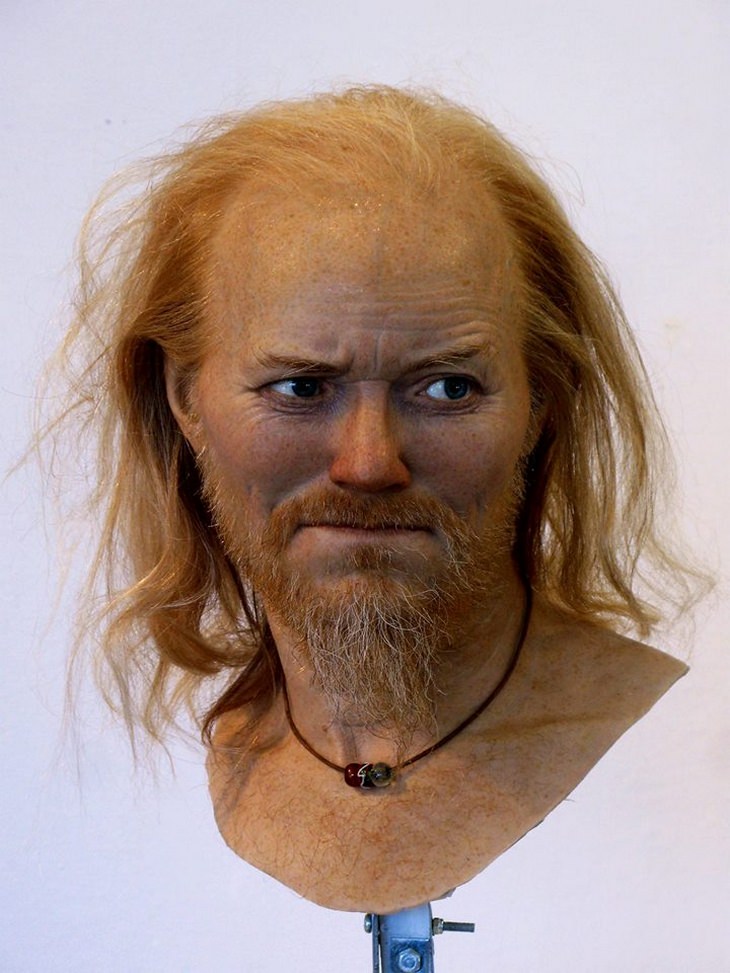 Skull reconstructions: viking