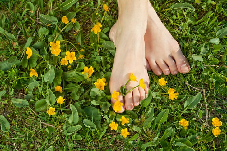 tea tree oil uses feet