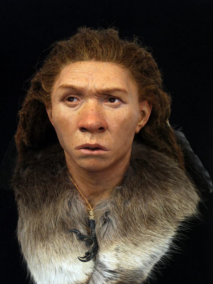 Skull reconstructions: Neanderthal woman