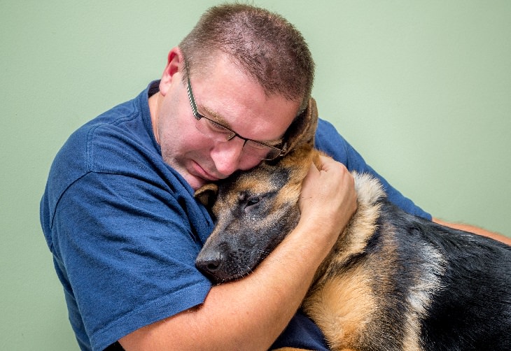 Emotional support dog: comfort, hug