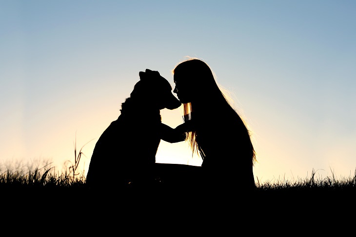 Emotional support dog: silhouette, hugging dog