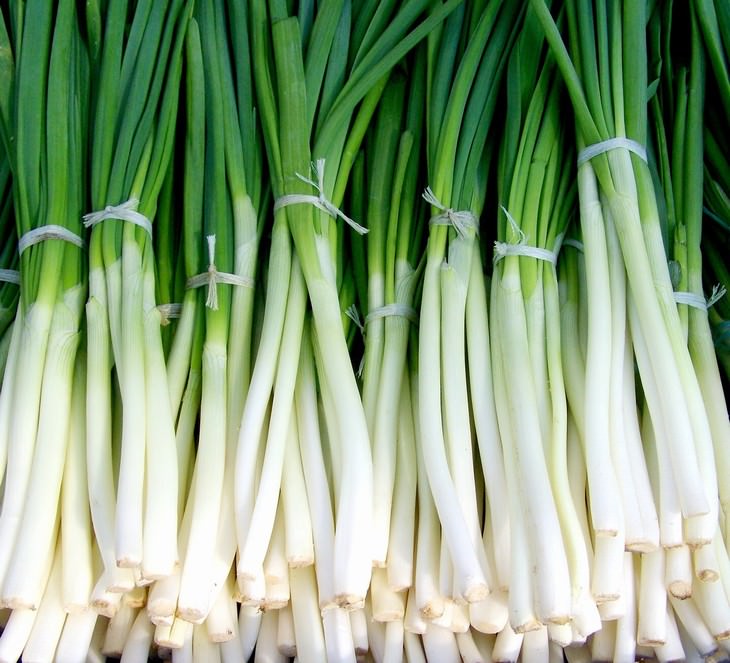 onions and garlic prevent cancer green onions