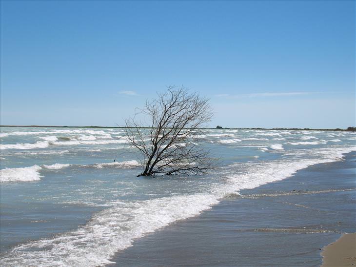 strange lakes Lake Balkhash