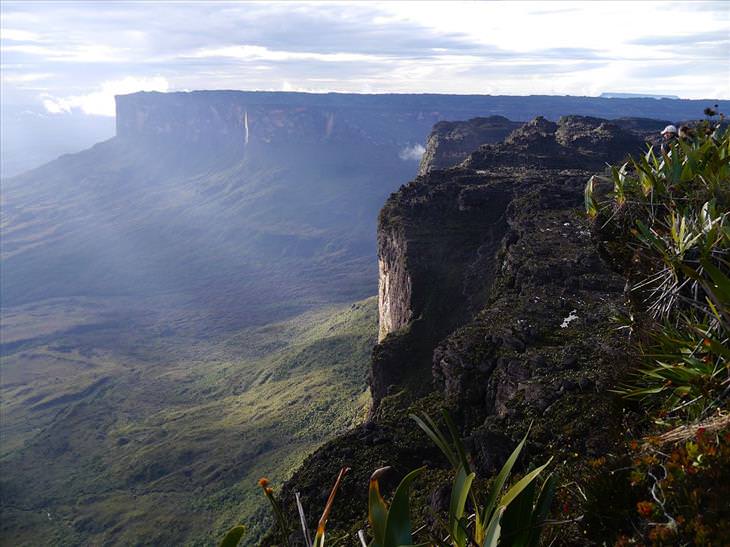 Guyana: Tepui Mount Roraima top