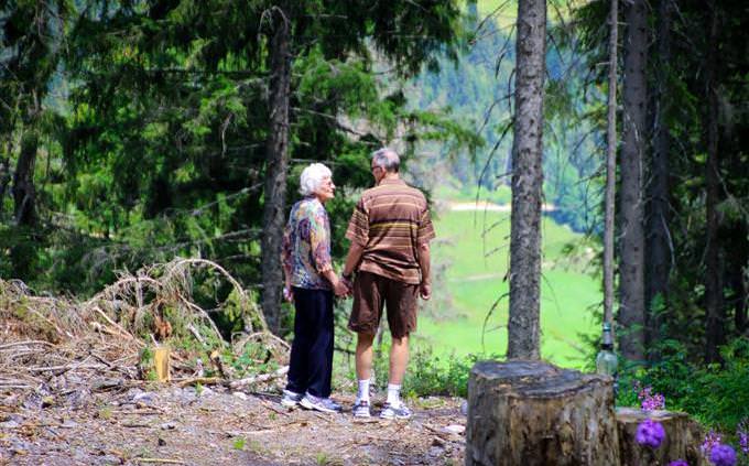 personality quiz: a couple in the forest