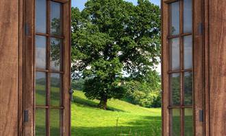 nature view window