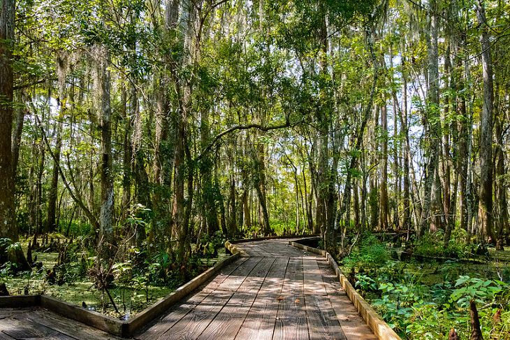lesser known natural wonders in the USA  Jean Lafitte National Historical Park and Preserve