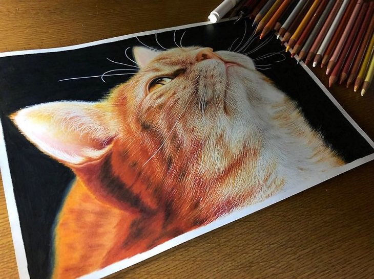 a realistic painting of cats