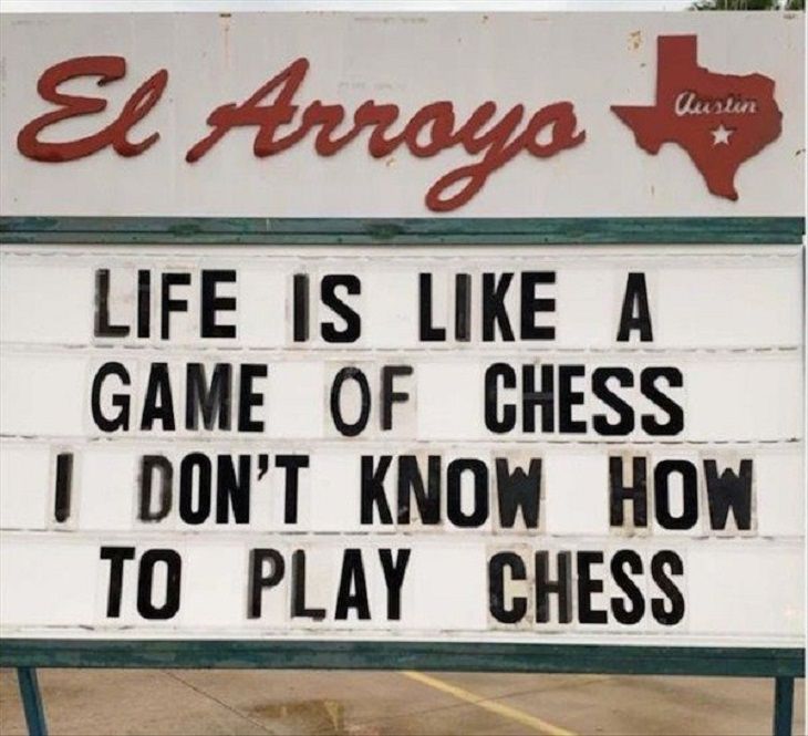 Witty Signs life chess